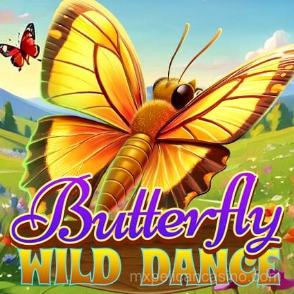 Butterfly Wild Dance